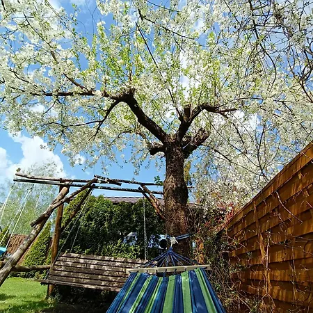 Деревянный коттедж Letniskowy W Centrum Mikolajek